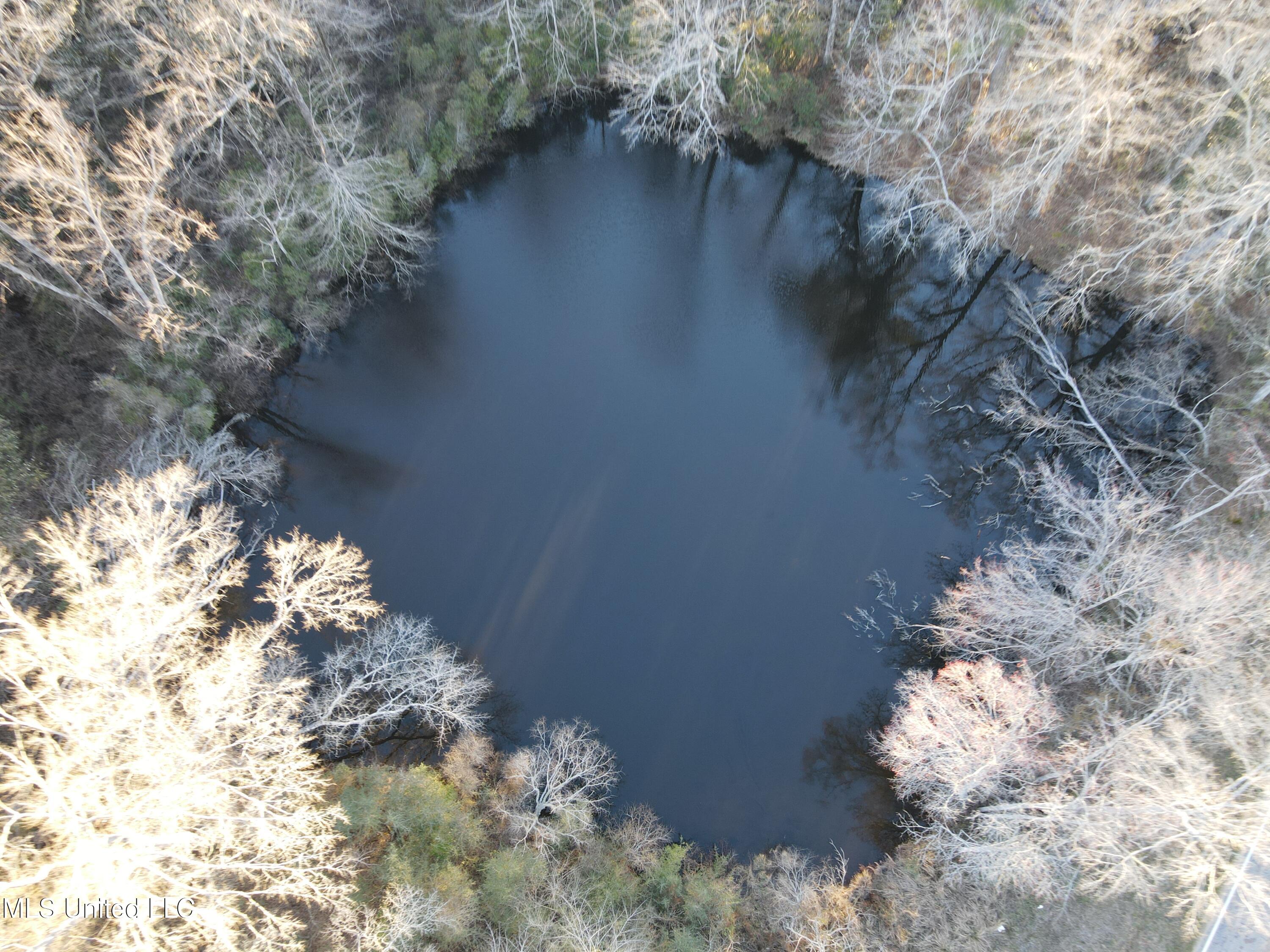 63 Clem Road Mount Olive, MS 39119 - Photo 52 of 56 Photo Feb 20 2025, 5 03 48 PM