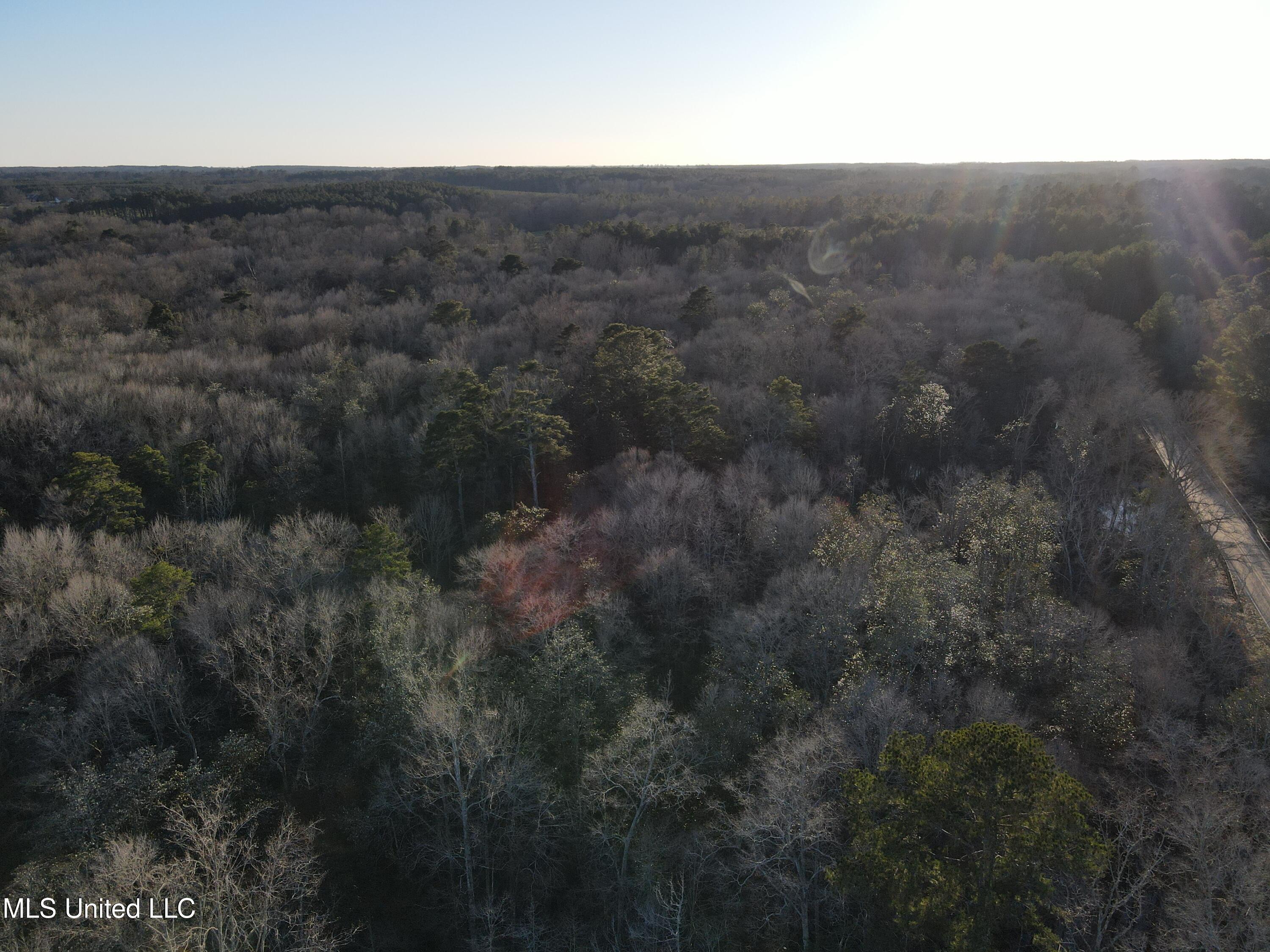 63 Clem Road Mount Olive, MS 39119 - Photo 53 of 56 Photo Feb 20 2025, 5 04 06 PM