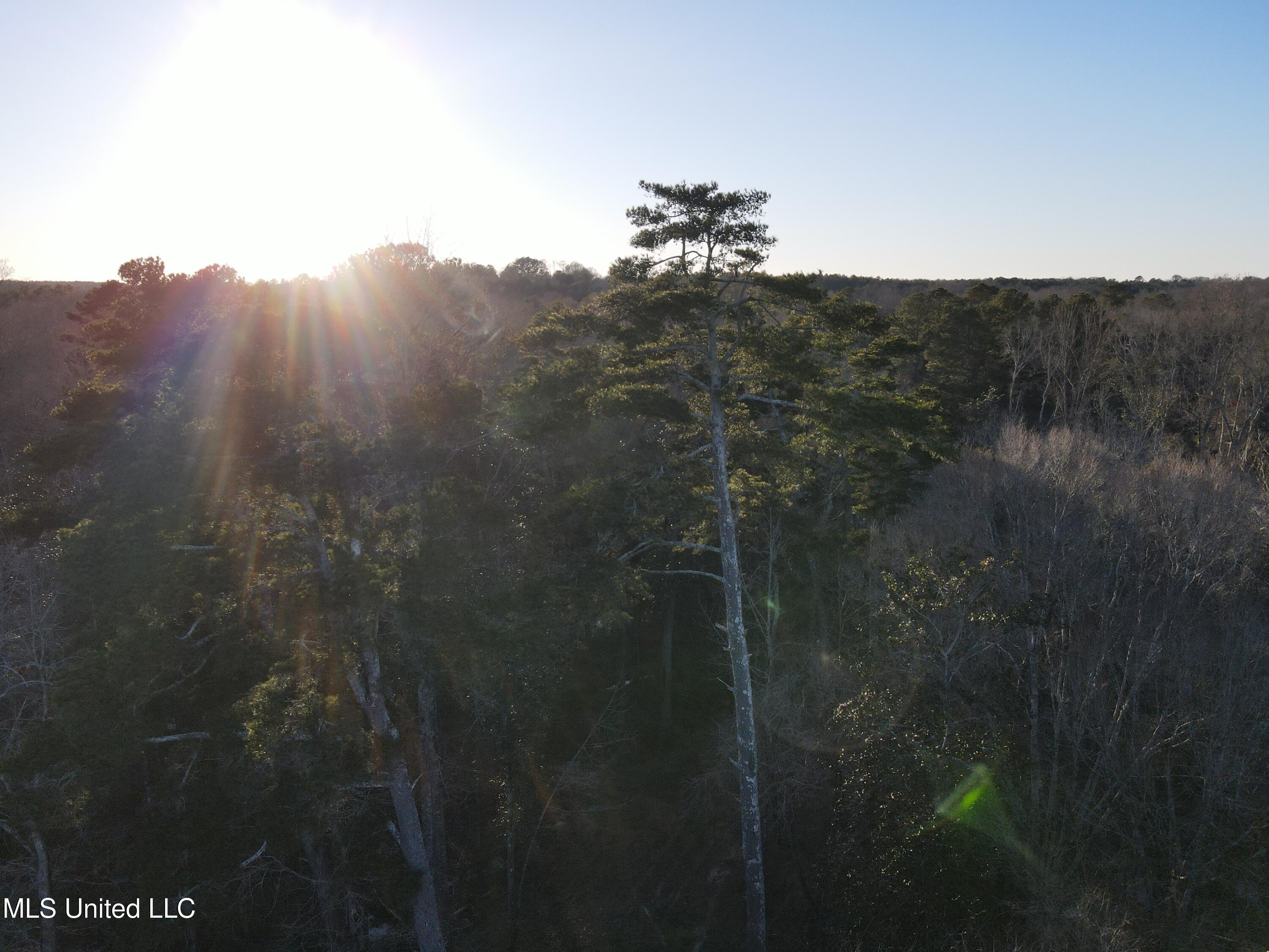 63 Clem Road Mount Olive, MS 39119 - Photo 54 of 56 Photo Feb 20 2025, 5 05 39 PM