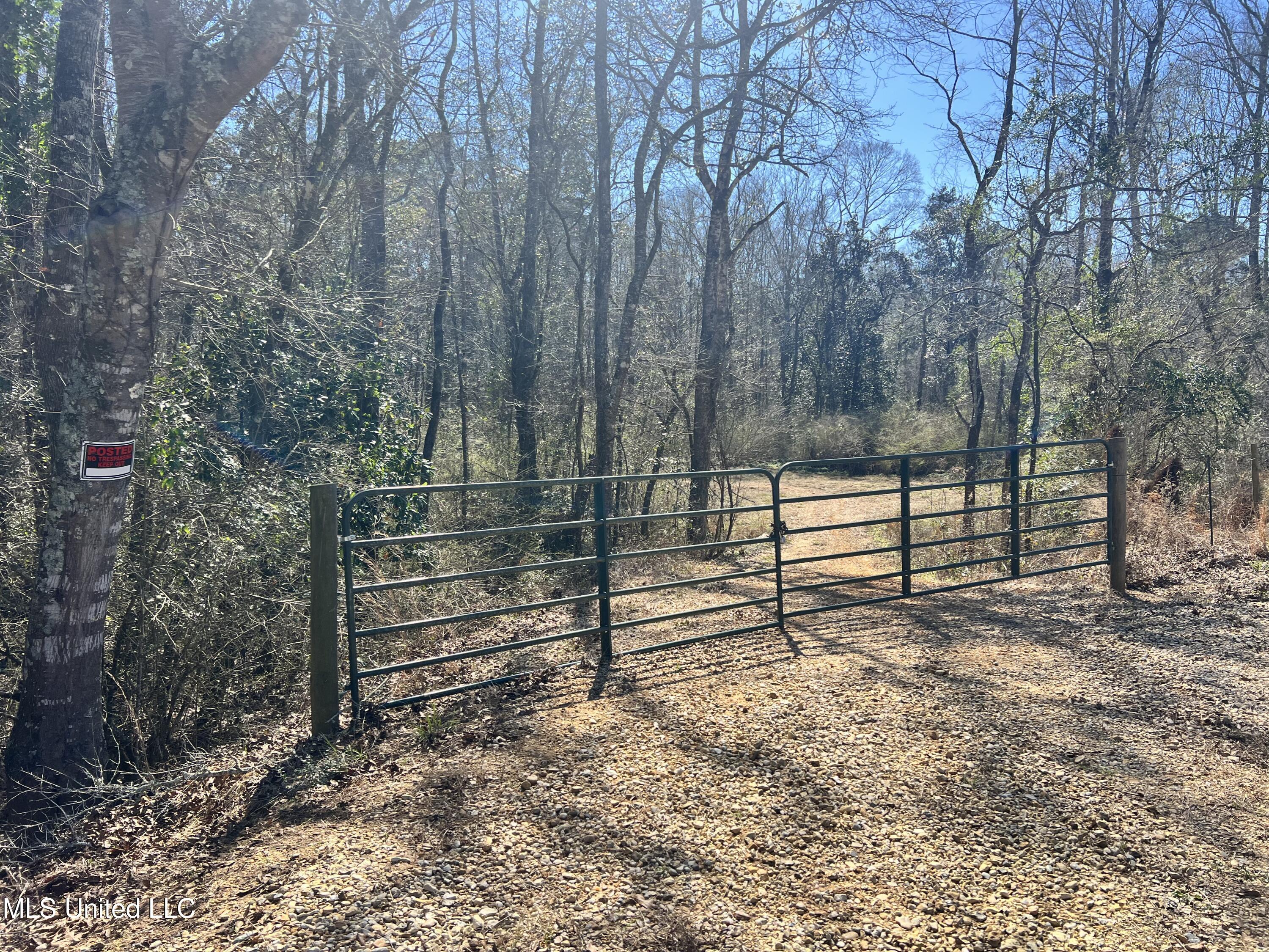 63 Clem Road Mount Olive, MS 39119 - Photo 6 of 56 Photo Feb 17 2025, 1 11 00 PM