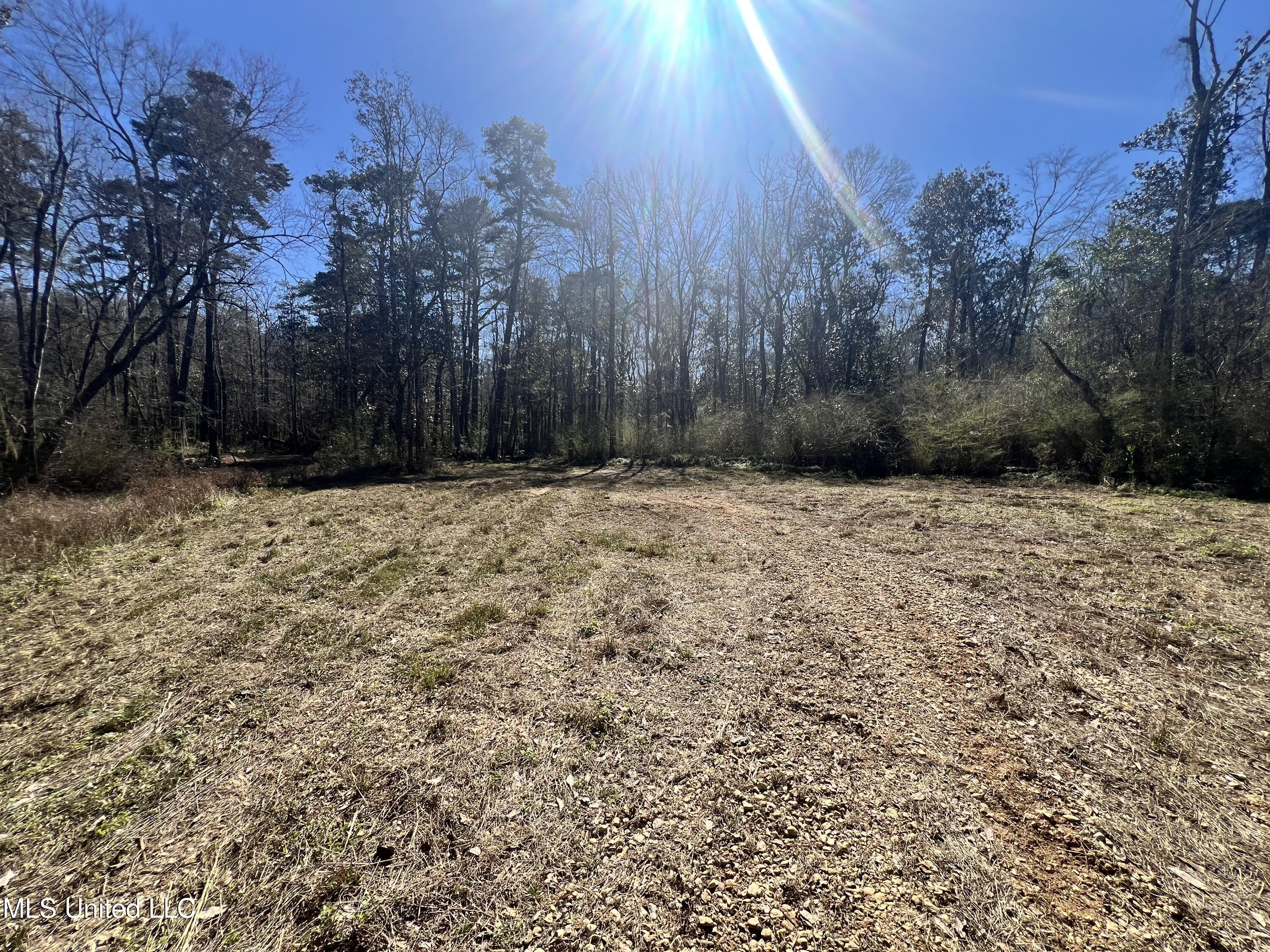 63 Clem Road Mount Olive, MS 39119 - Photo 7 of 56 Photo Feb 17 2025, 1 11 49 PM