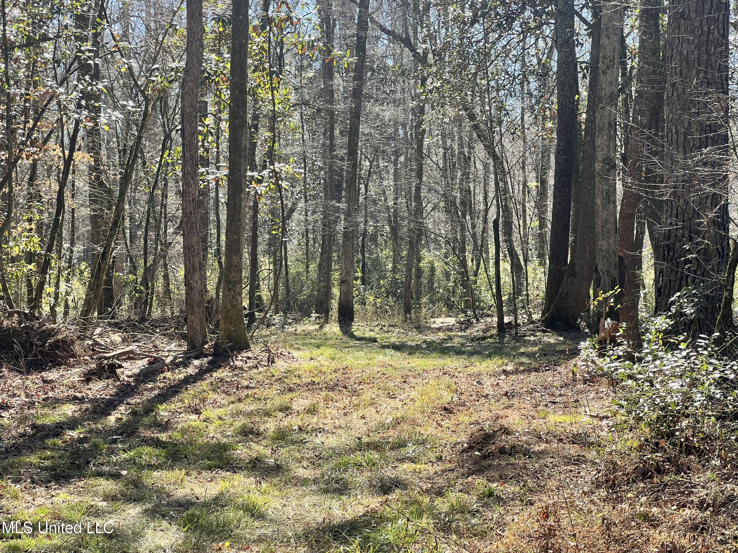63 Clem Road Mount Olive, MS 39119 - Photo 8 of 56 Photo Feb 17 2025, 1 13 09 PM