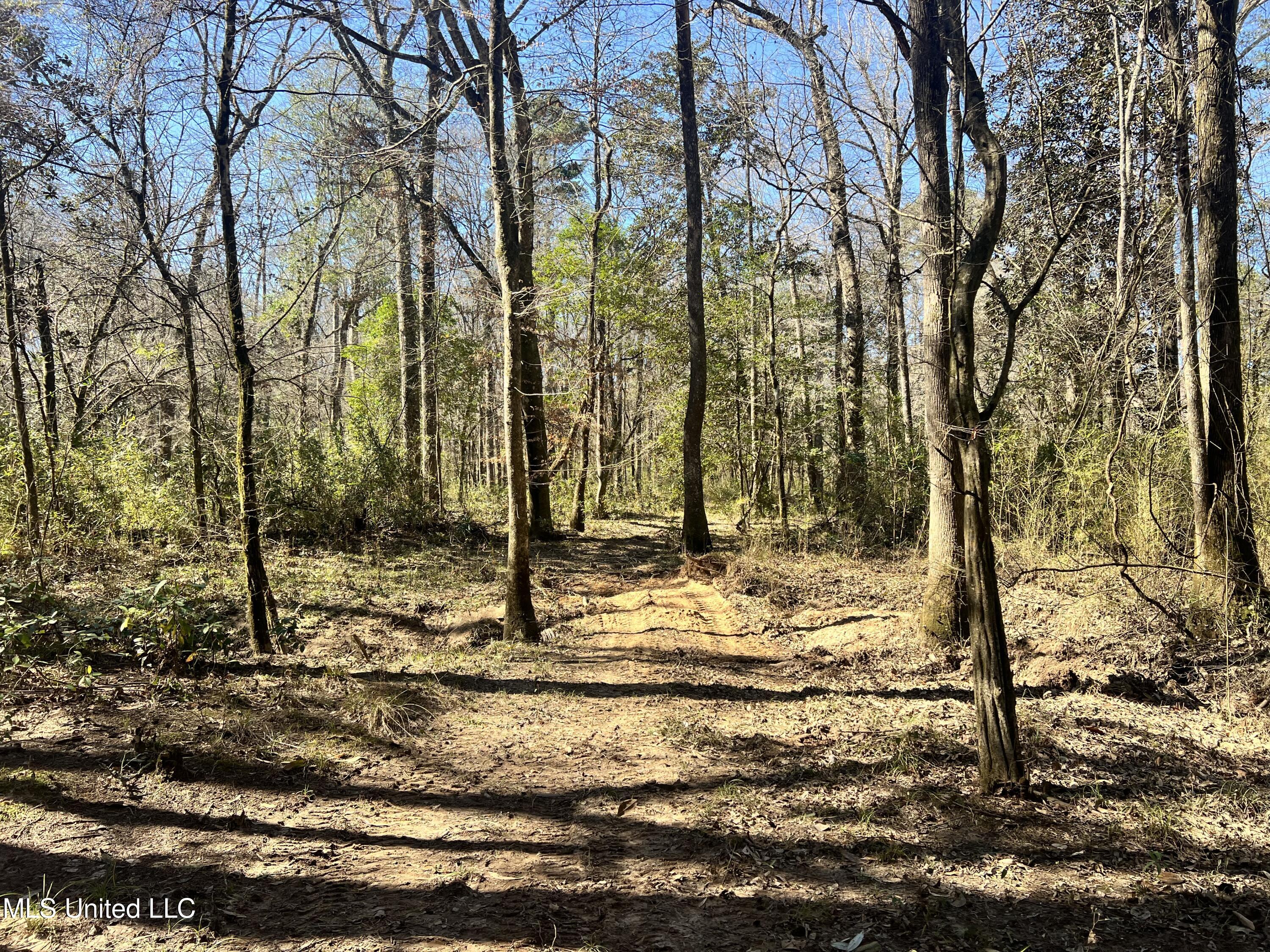 63 Clem Road Mount Olive, MS 39119 - Photo 9 of 56 Photo Feb 17 2025, 1 13 48 PM
