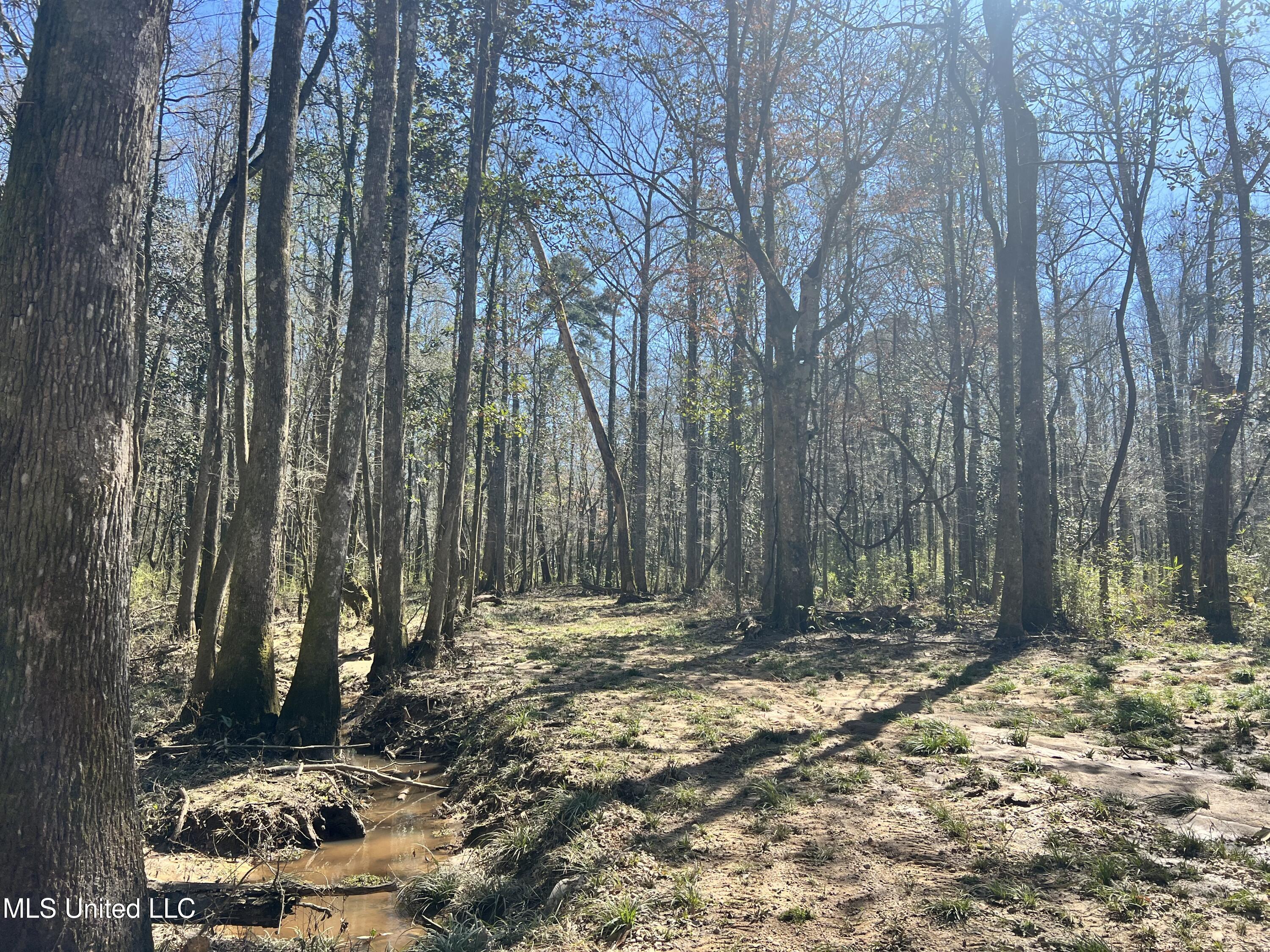 63 Clem Road Mount Olive, MS 39119 - Photo 10 of 56 Photo Feb 17 2025, 1 16 39 PM