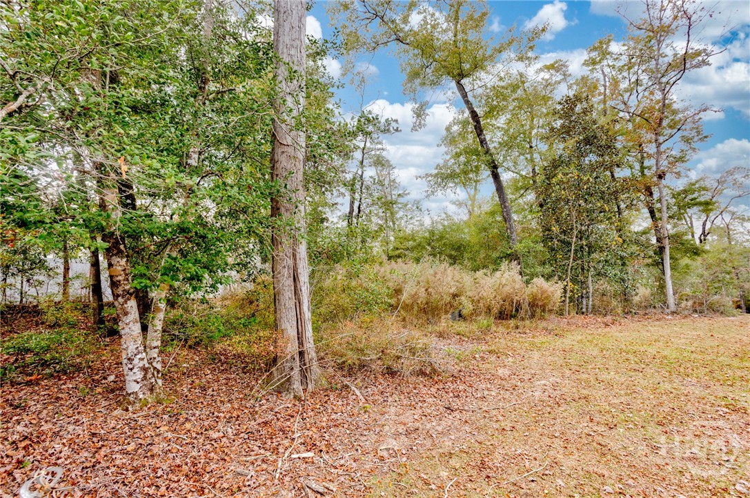 165 Cubbedge Drive Rincon, GA 31326 - Photo 55 of 56