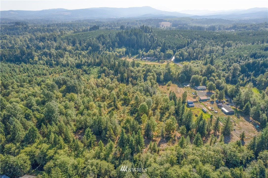 321 Hansen Road Toutle, WA 98649 - Photo 14 of 27 a view of a forest with a street
