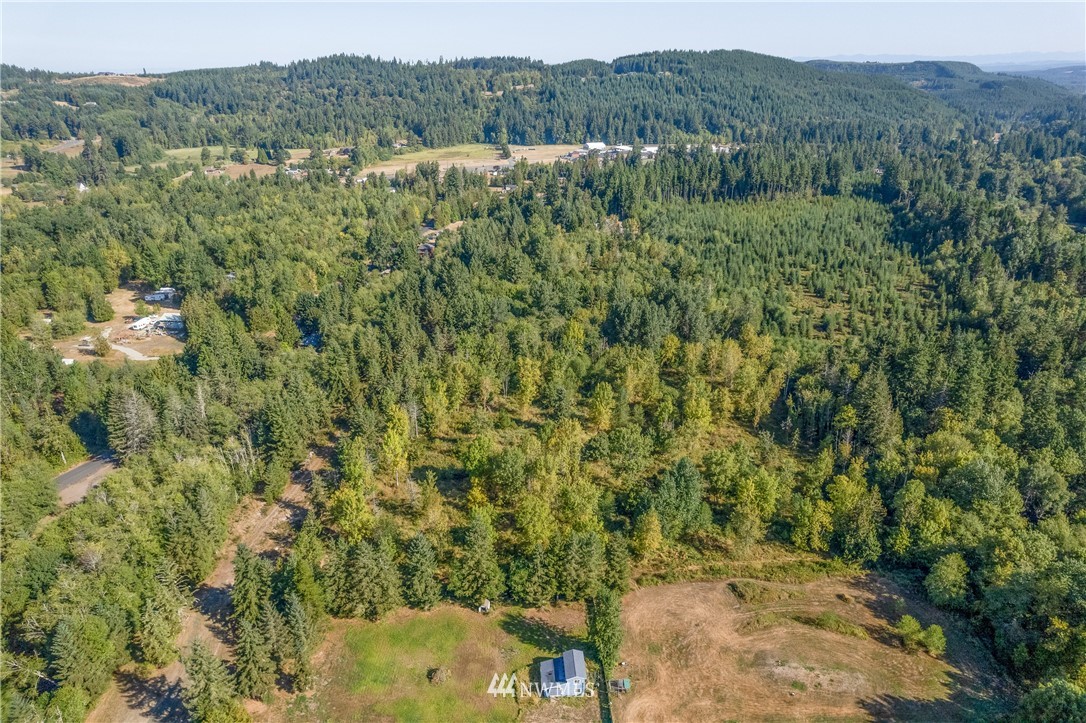 321 Hansen Road Toutle, WA 98649 - Photo 22 of 27 a view of a forest with a street