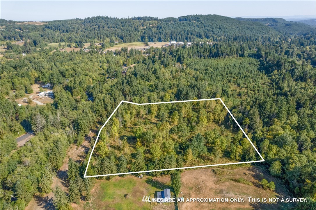 321 Hansen Road Toutle, WA 98649 - Photo 8 of 27 a view of a yard