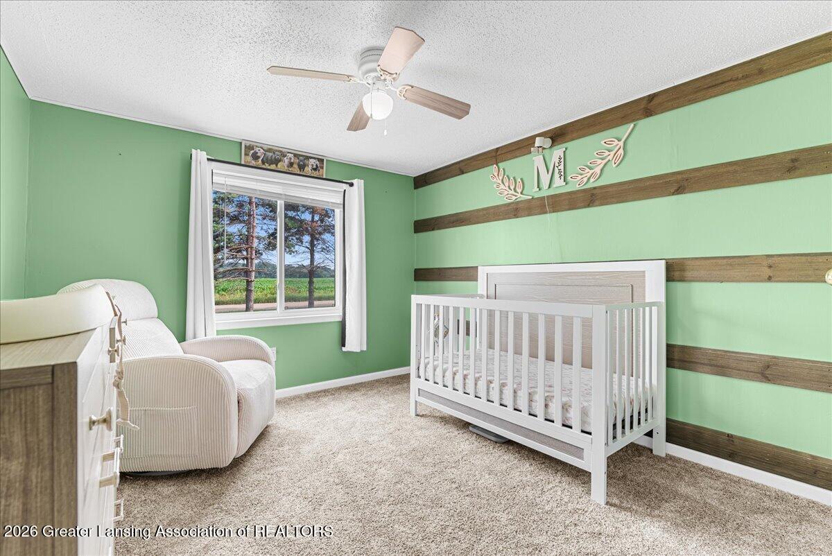 9201 West Riley Road Elsie, MI 48831 - Photo 28 of 46 20-Media Jett - 14
