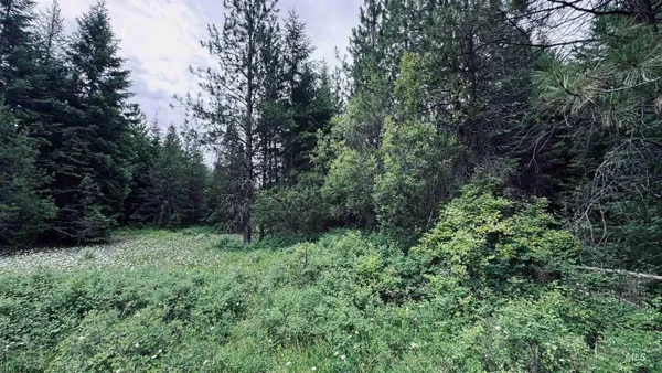 $85,000 | 58 Bugling Elk Lane, Weippe, ID 83553