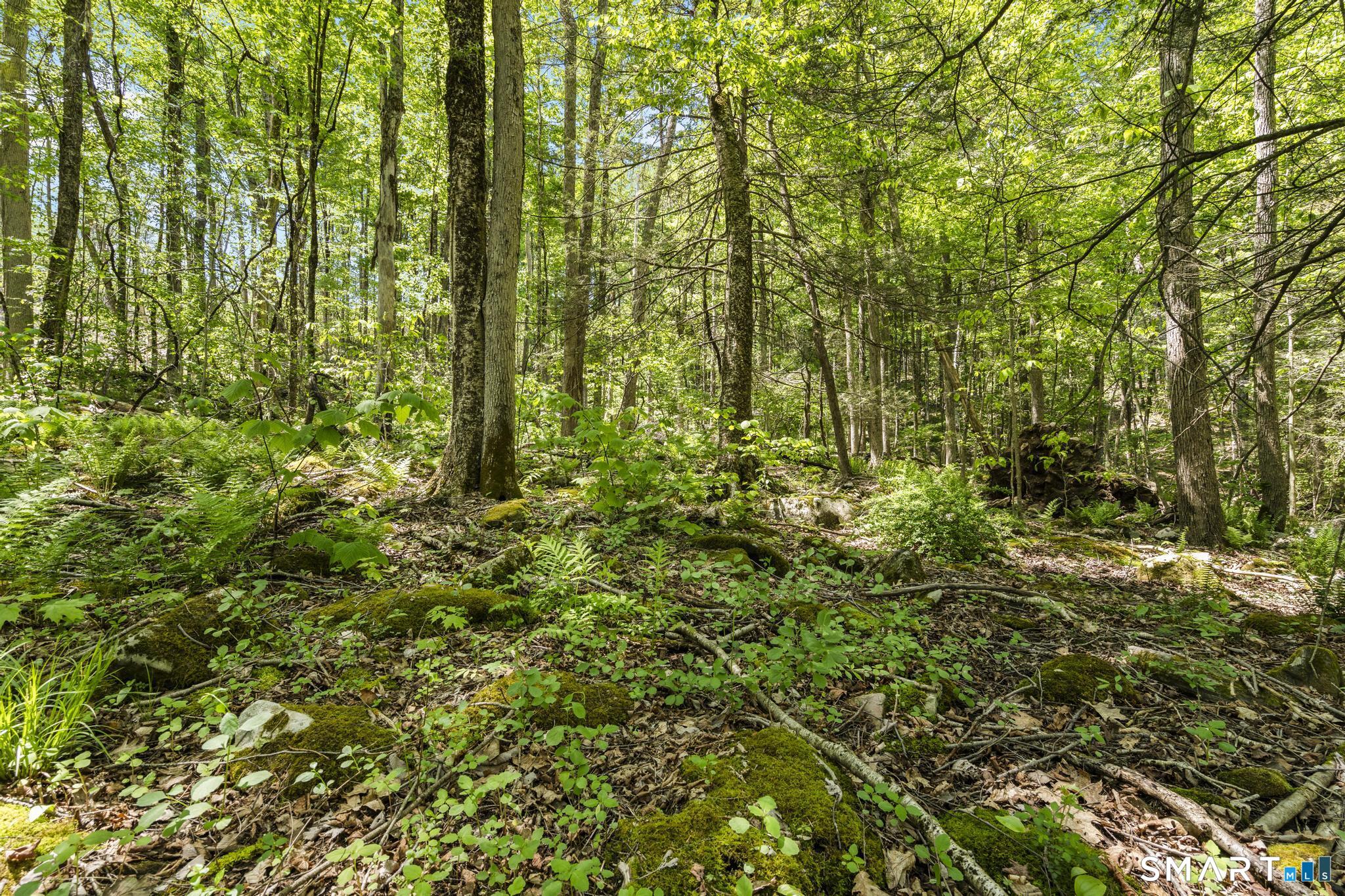 321 Colebrook Road Winchester, CT 06098 - Photo 23 of 39