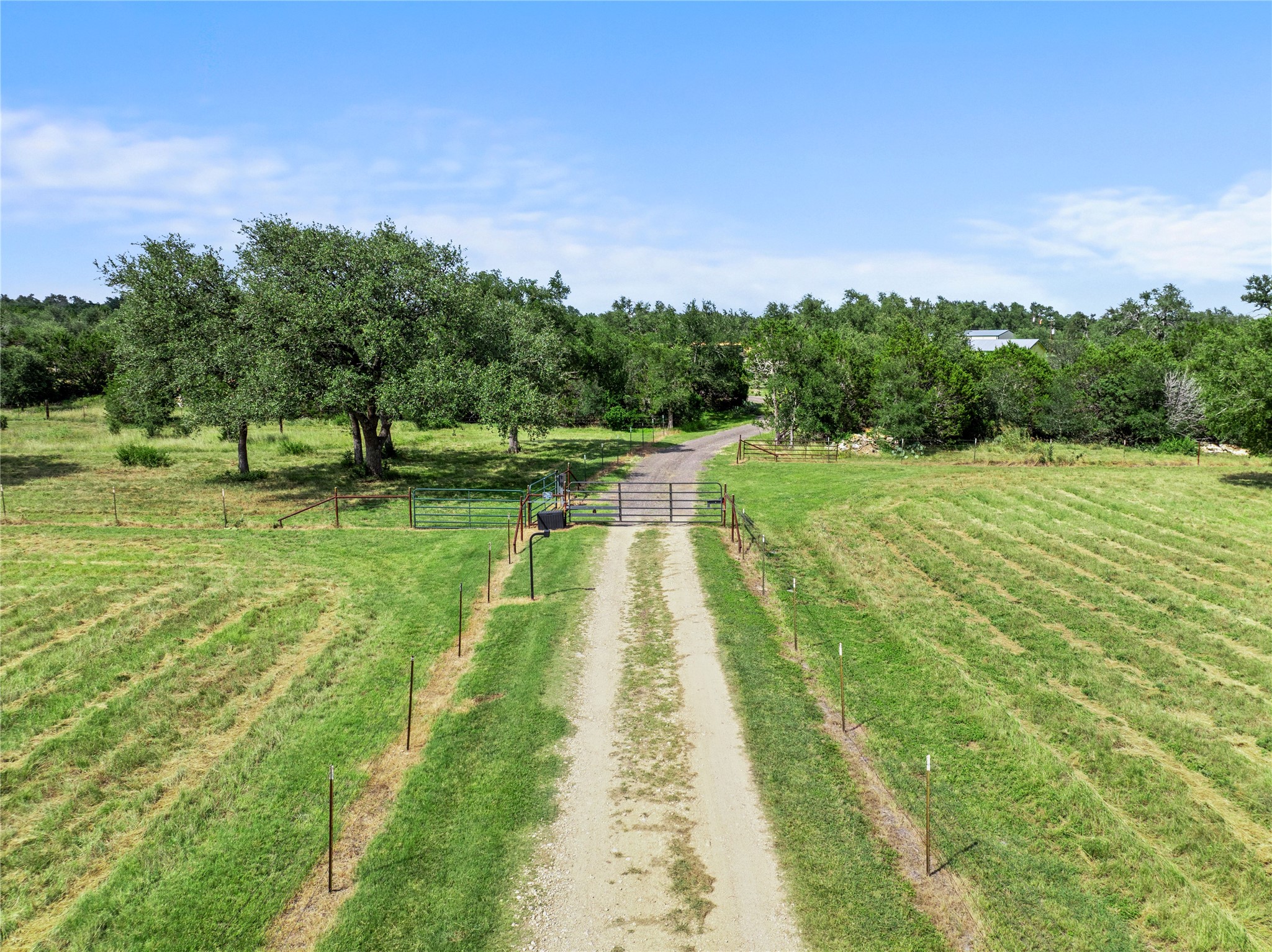 8200 Ranch Road 12 San Marcos, TX 78666 - Photo 7 of 40 A private gravel drive extends through a green pasture towards a secluded woodland estate.