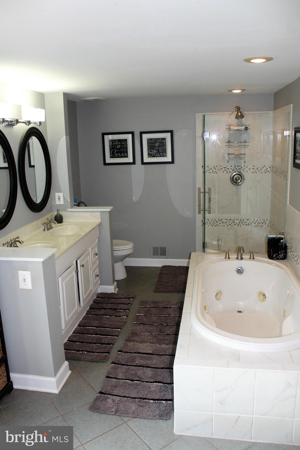 109 Peyton Road Sterling, VA 20165 - Photo 17 of 30 Remodeled Mba w/ separate shower