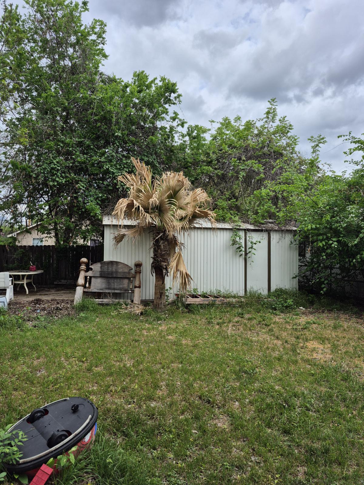 604 Springdale Road Austin, TX 78702 - Photo 4 of 5 Fenced backyard featuring an outdoor structure