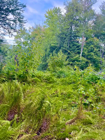 $75,000 | 664 Ranney Road, Stockbridge, VT 05772