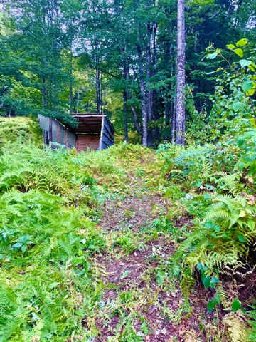 $75,000 | 664 Ranney Road, Stockbridge, VT 05772