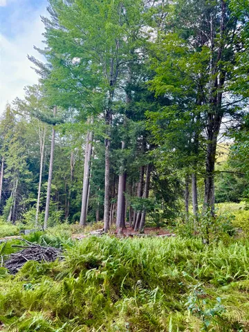 $75,000 | 664 Ranney Road, Stockbridge, VT 05772