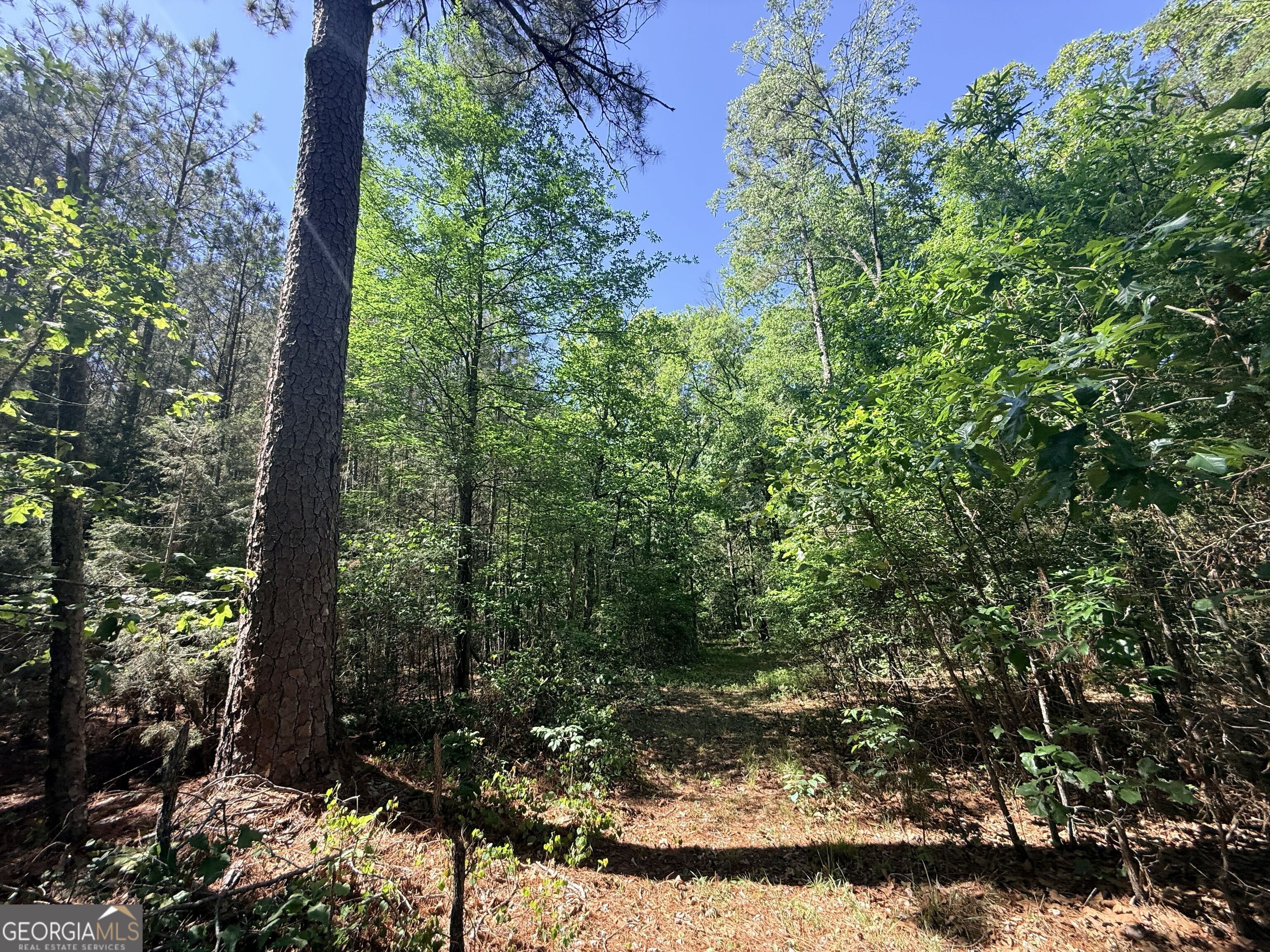 580 Saggus Road Washington, GA 30673 - Photo 37 of 54