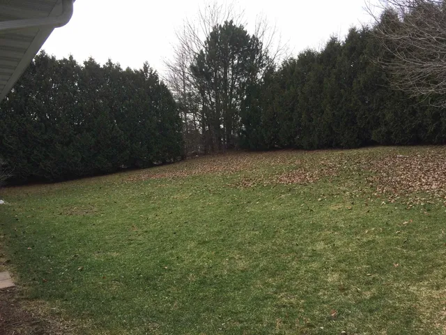 $1,850 | 985 Lum Avenue, Waterloo, WI 53594