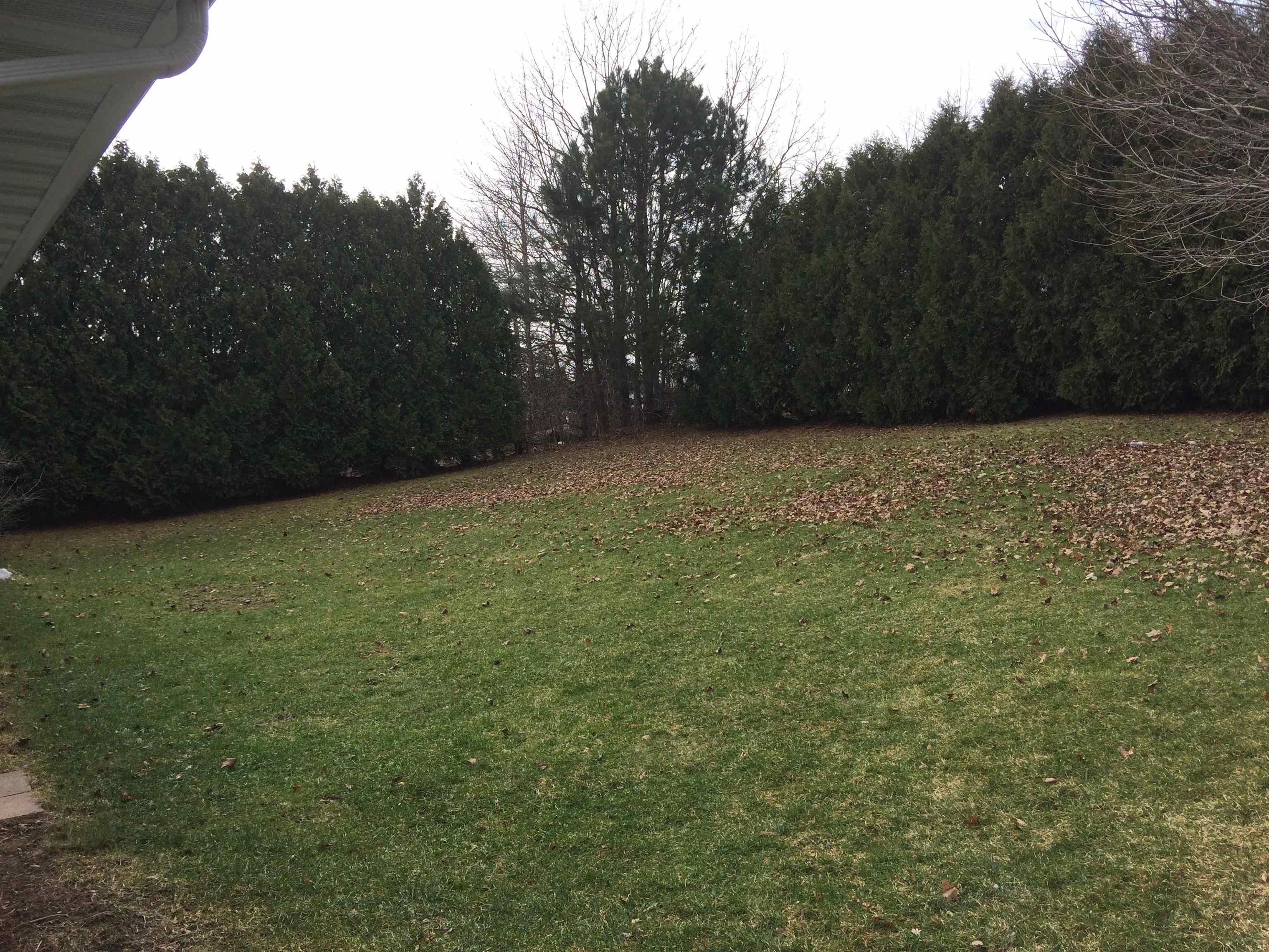 985 Lum Avenue Waterloo, WI 53594 - Photo 8 of 8