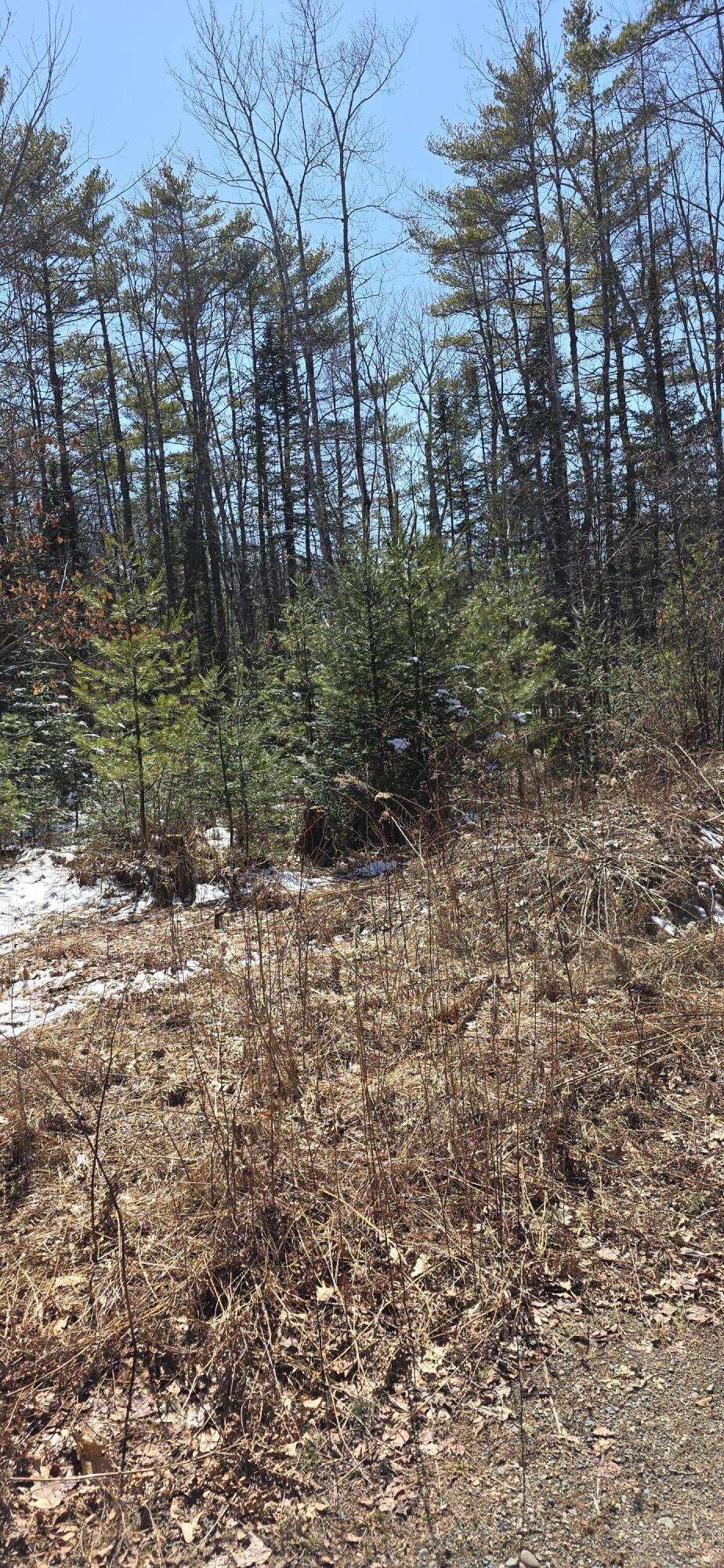 1439 River Road Solon, ME 04979 - Photo 3 of 9 20260408_143227