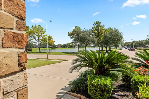 a view of a yard with palm trees
