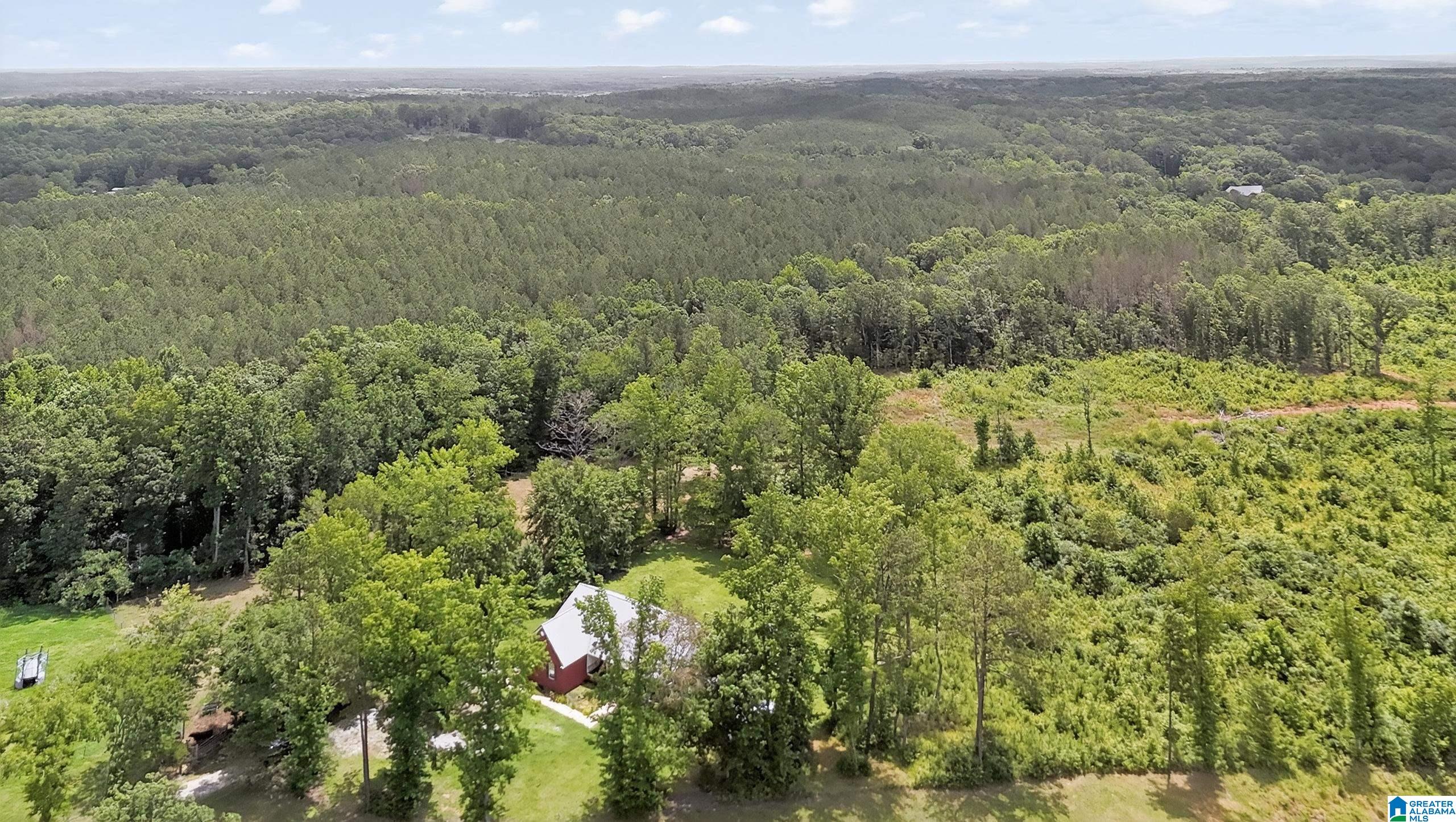 4952 Beech Grove Road Townley, AL 35587 - Photo 24 of 24 Gallery Image 24