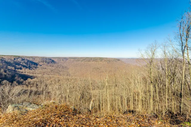 $1,550,000 | 557 High Point Lane, Jasper, TN 37347