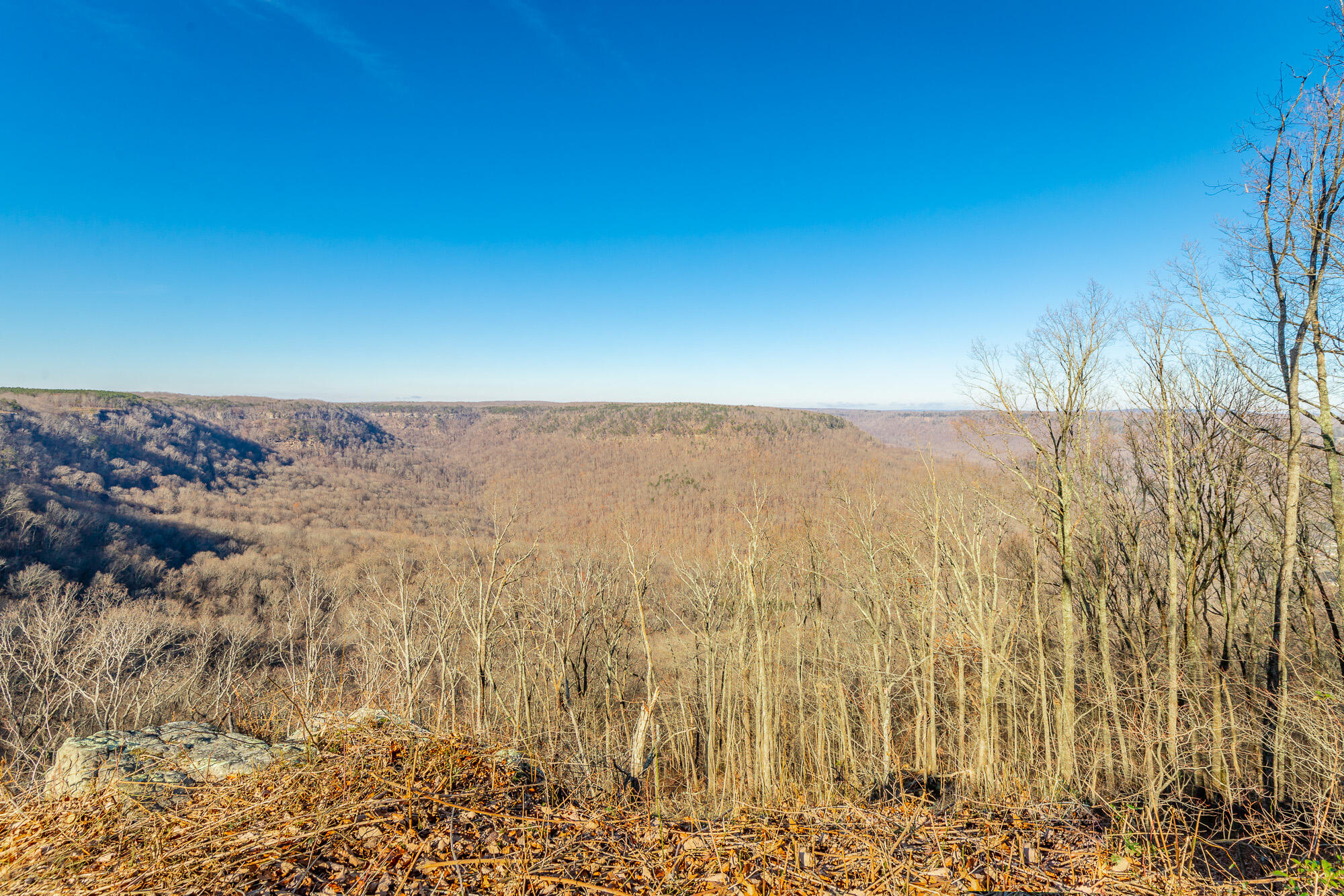 557 High Point Lane Jasper, TN 37347 - Photo 149 of 209 557 High Point Lane HD-159