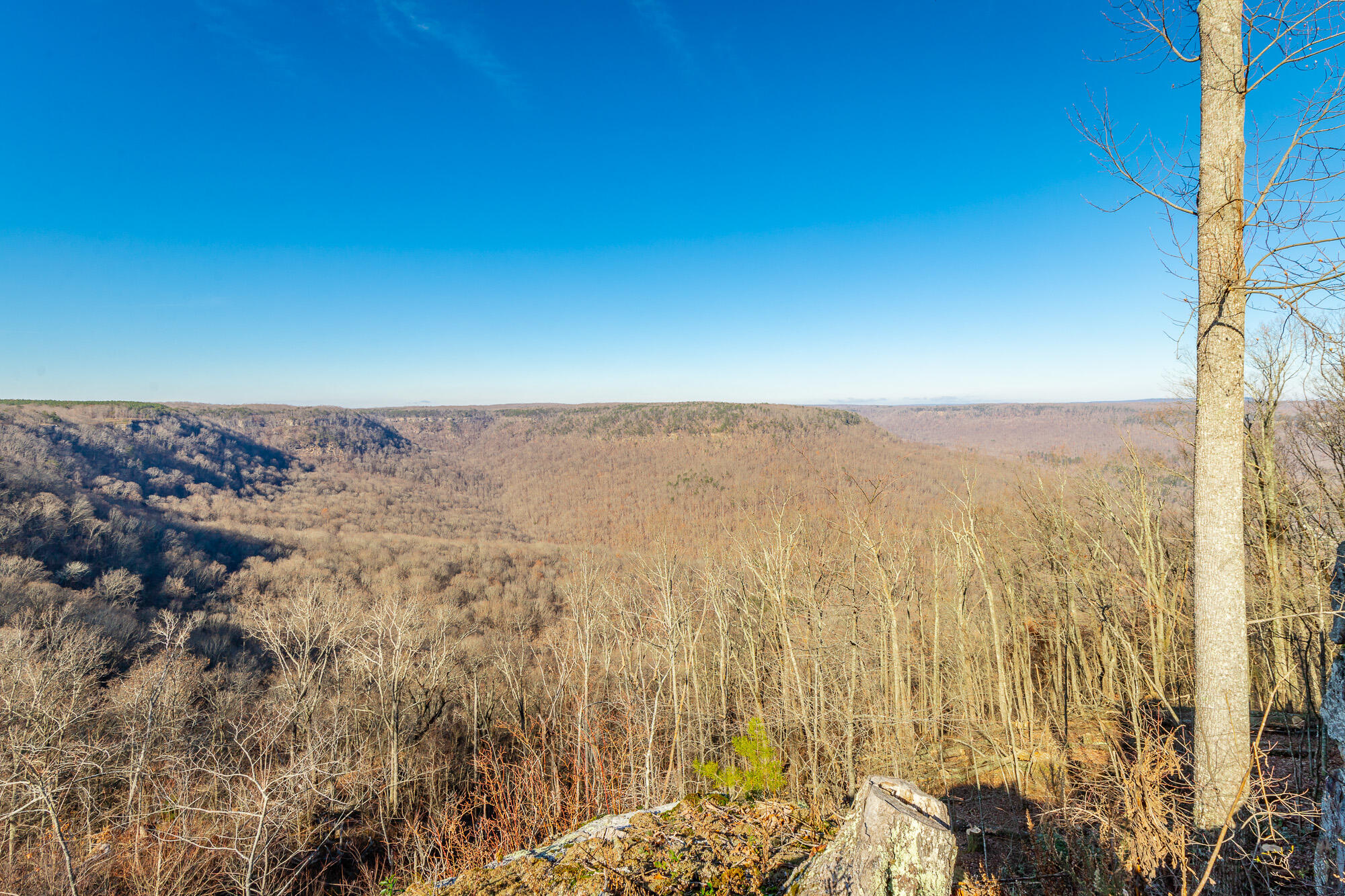 557 High Point Lane Jasper, TN 37347 - Photo 151 of 209 557 High Point Lane HD-163