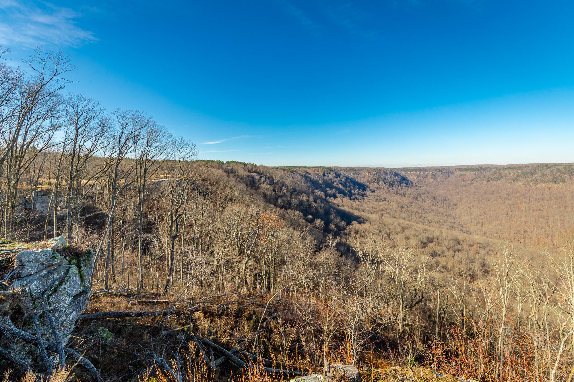 557 High Point Lane Jasper, TN 37347 - Photo 152 of 209 557 High Point Lane HD-164