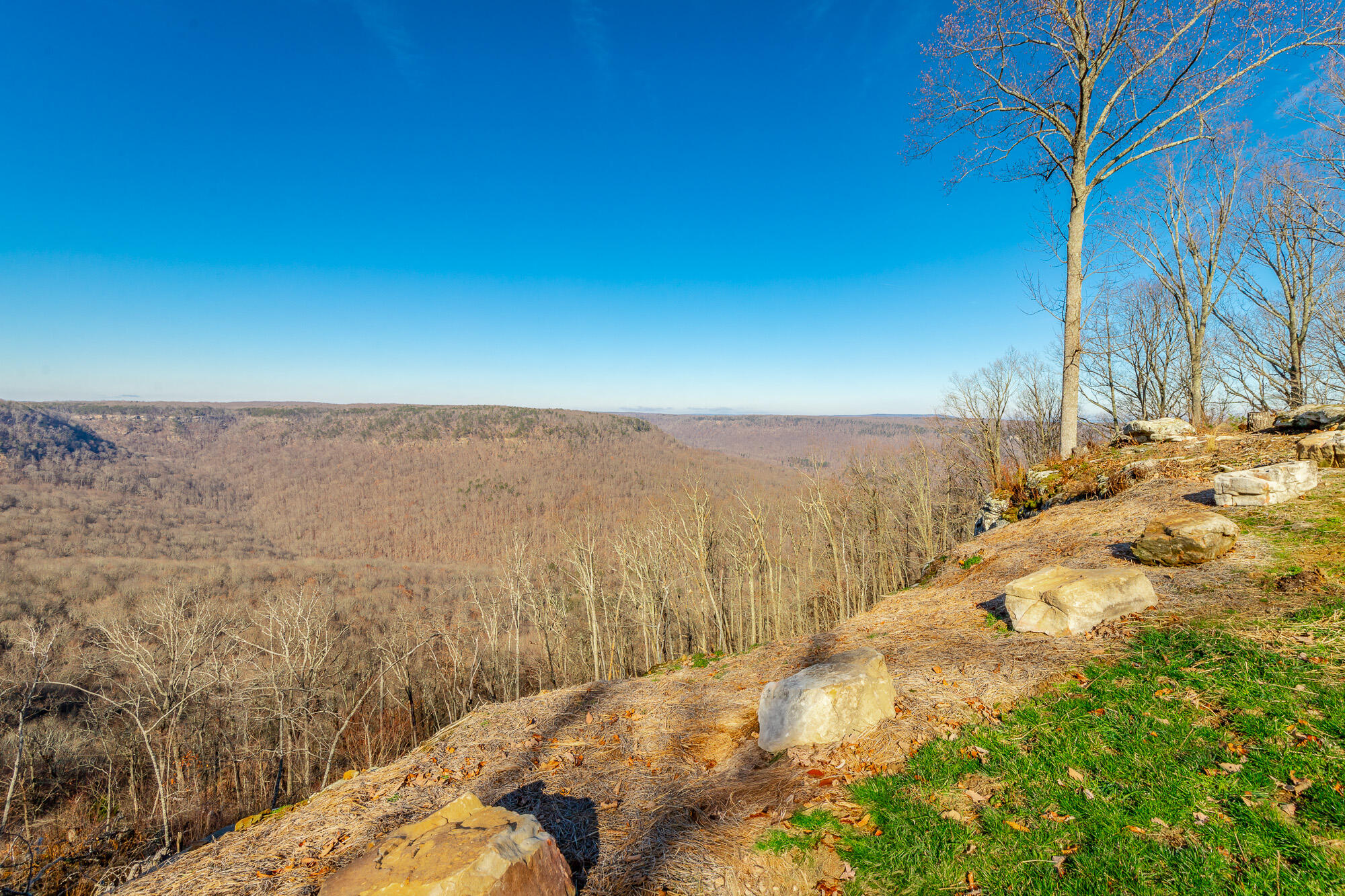 557 High Point Lane Jasper, TN 37347 - Photo 156 of 209 557 High Point Lane HD-170