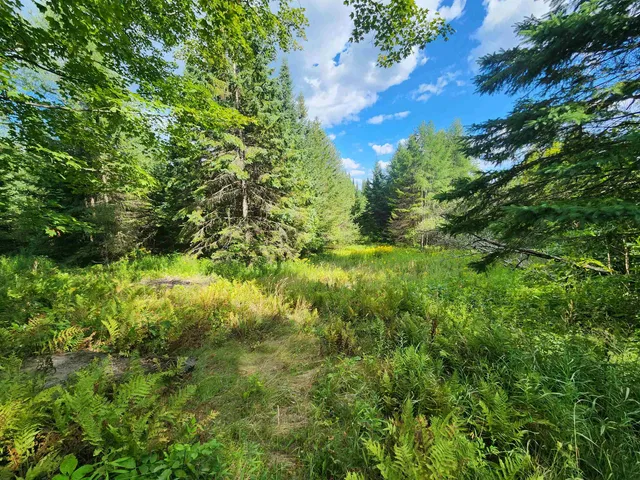 $120,000 | 0 Old Coach Road, Unit 4, Lyndonville, VT 05851