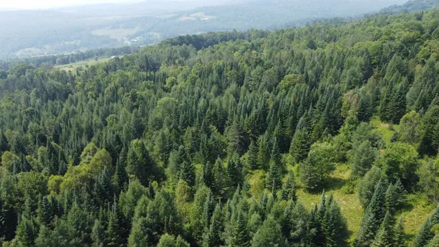 $120,000 | 0 Old Coach Road, Unit 4, Lyndonville, VT 05851