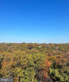 a view of a mountain in the distance