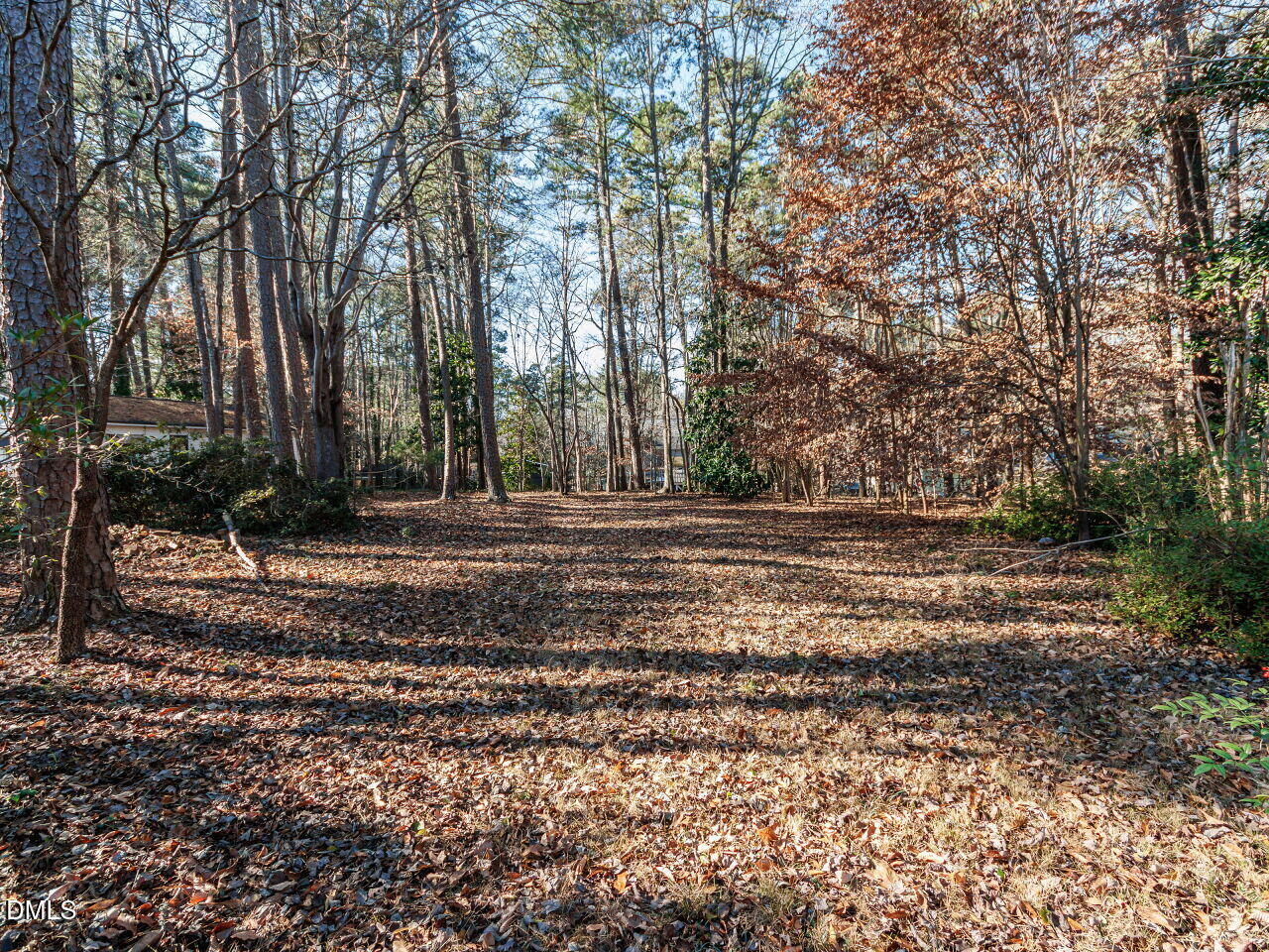 4109 Glen Laurel Drive Raleigh, NC 27612 - Photo 41 of 50 Backyard- Winter