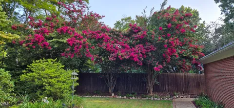 a garden with flowers and trees