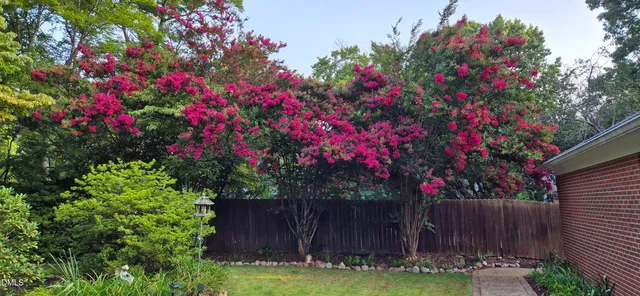 a garden with flowers and trees