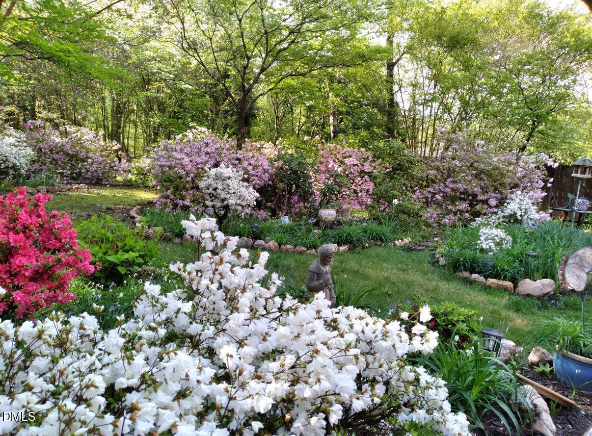 4109 Glen Laurel Drive Raleigh, NC 27612 - Photo 49 of 50 Springtime