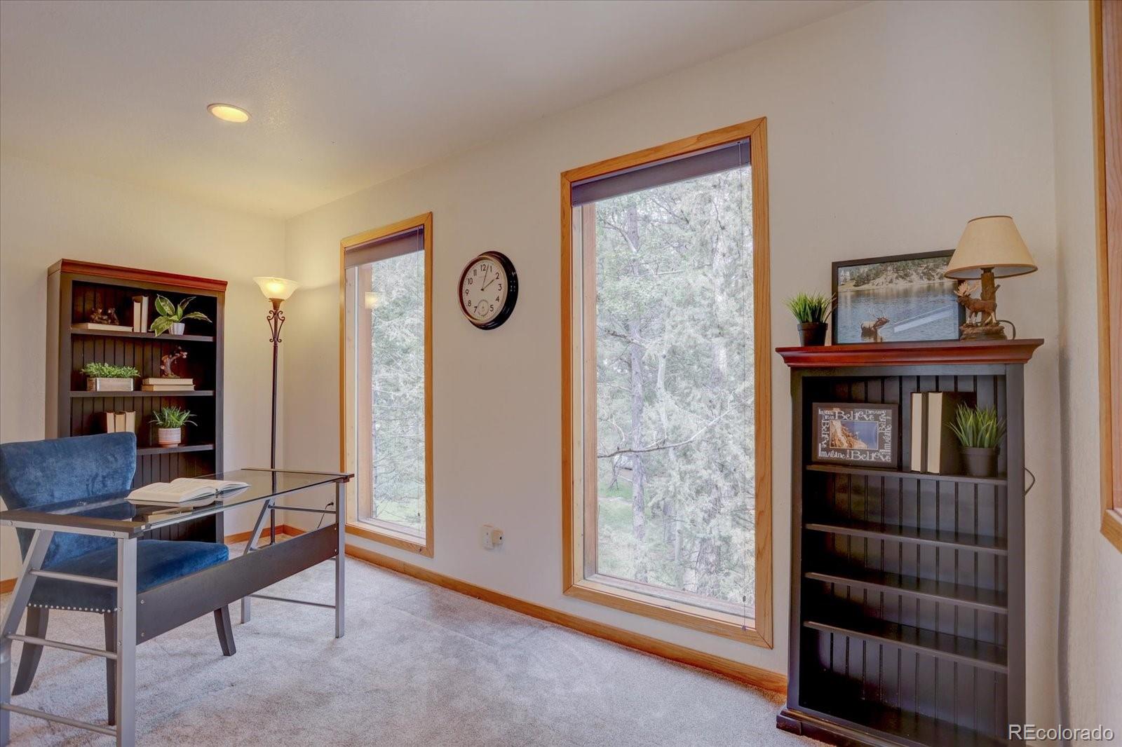 30629 Hood Road Conifer, CO 80433 - Photo 18 of 40 Gallery Image 18