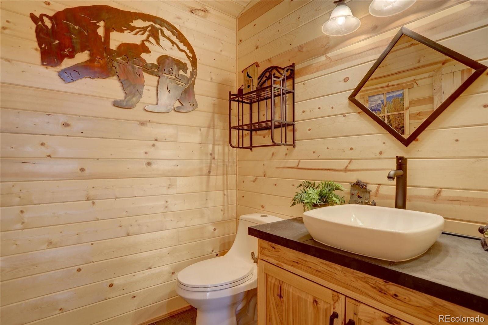30629 Hood Road Conifer, CO 80433 - Photo 21 of 40 Gallery Image 21
