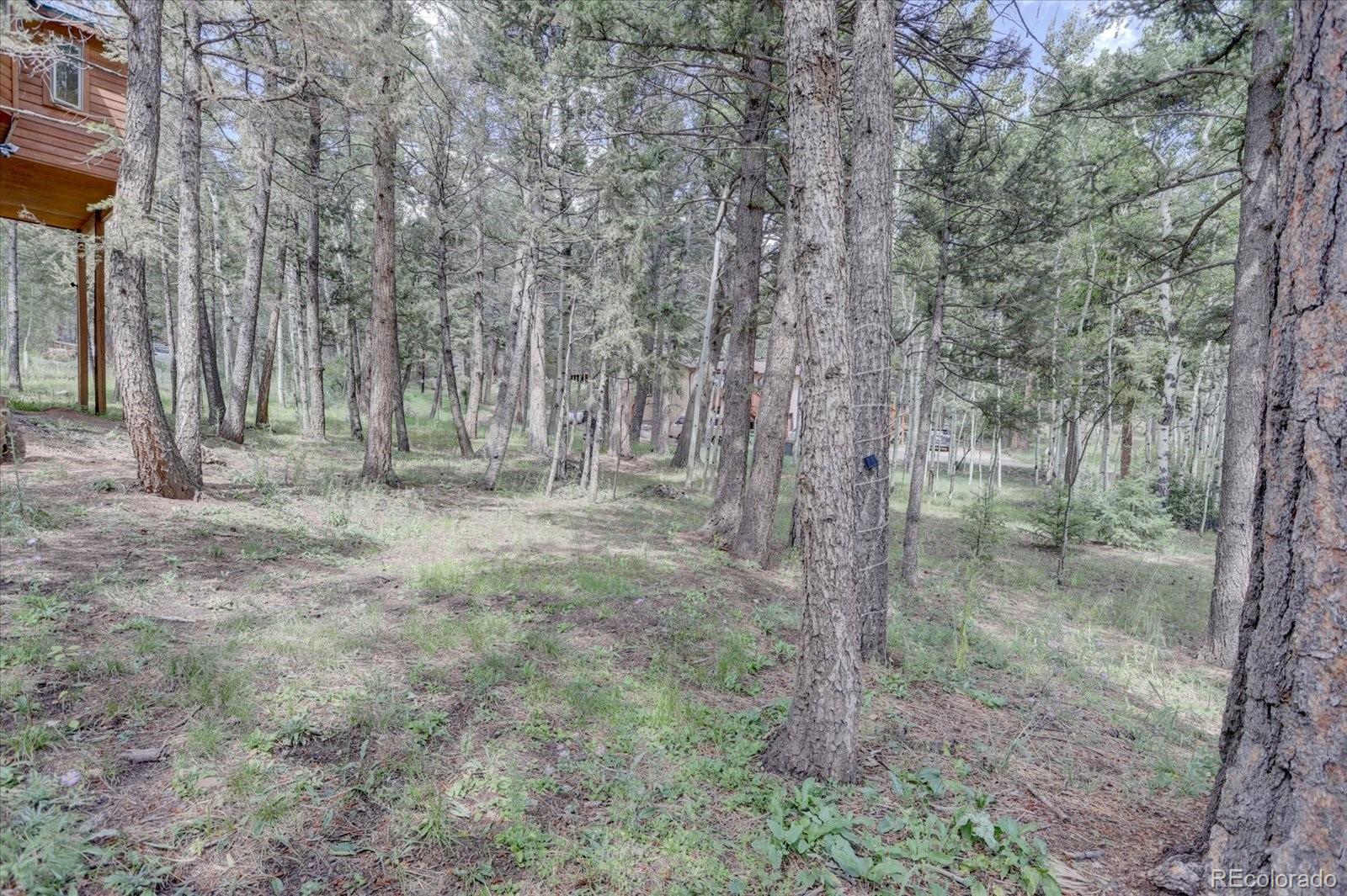 30629 Hood Road Conifer, CO 80433 - Photo 32 of 40 Gallery Image 32