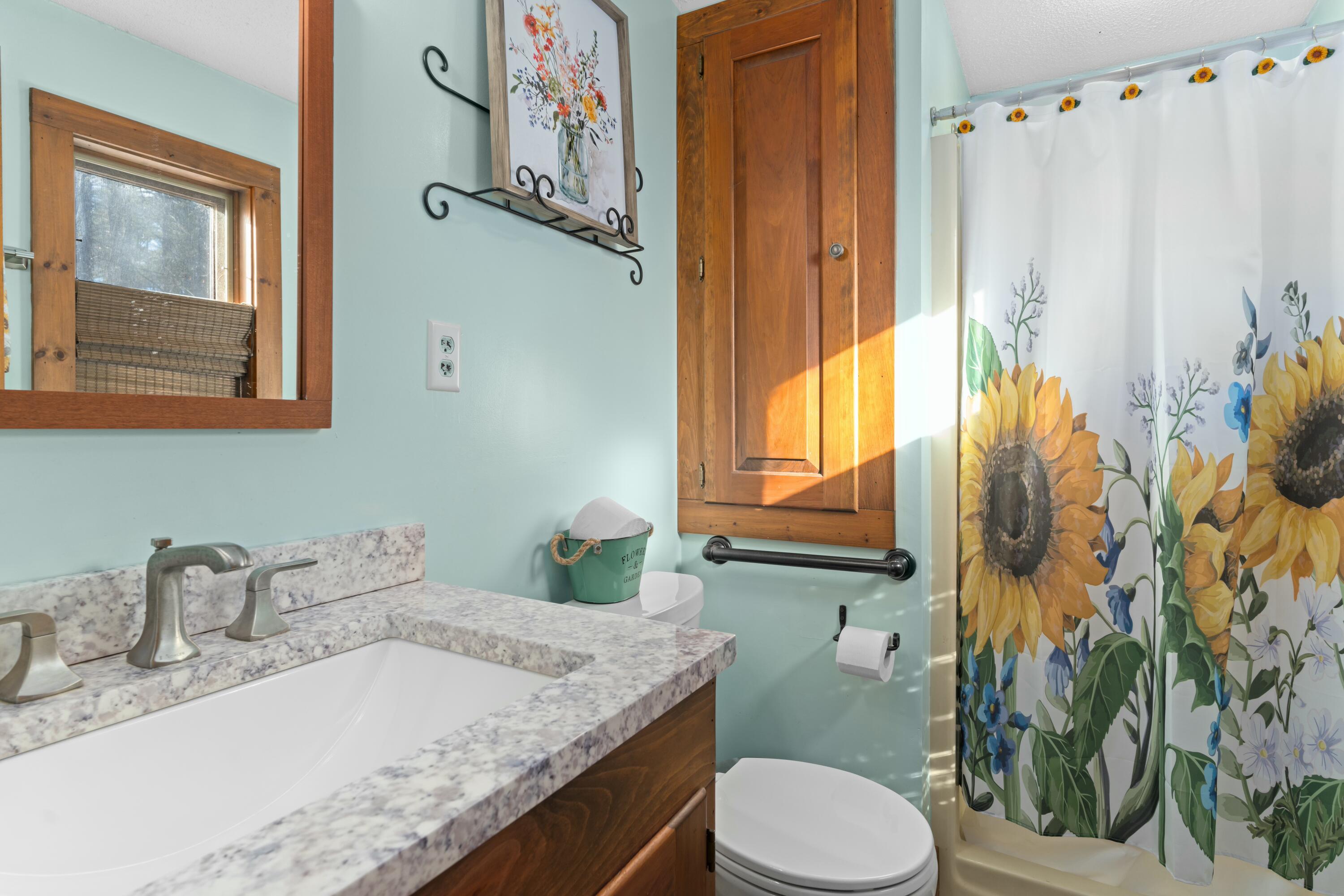 151 Mountain View Drive Acton, ME 04001 - Photo 17 of 53 tempImagevzB7EV