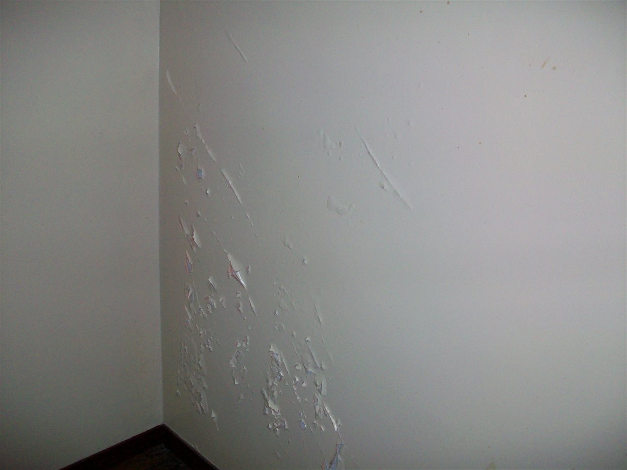 16167 Marilla Road Copemish, MI 49625 - Photo 20 of 25 1803819-19.JPG