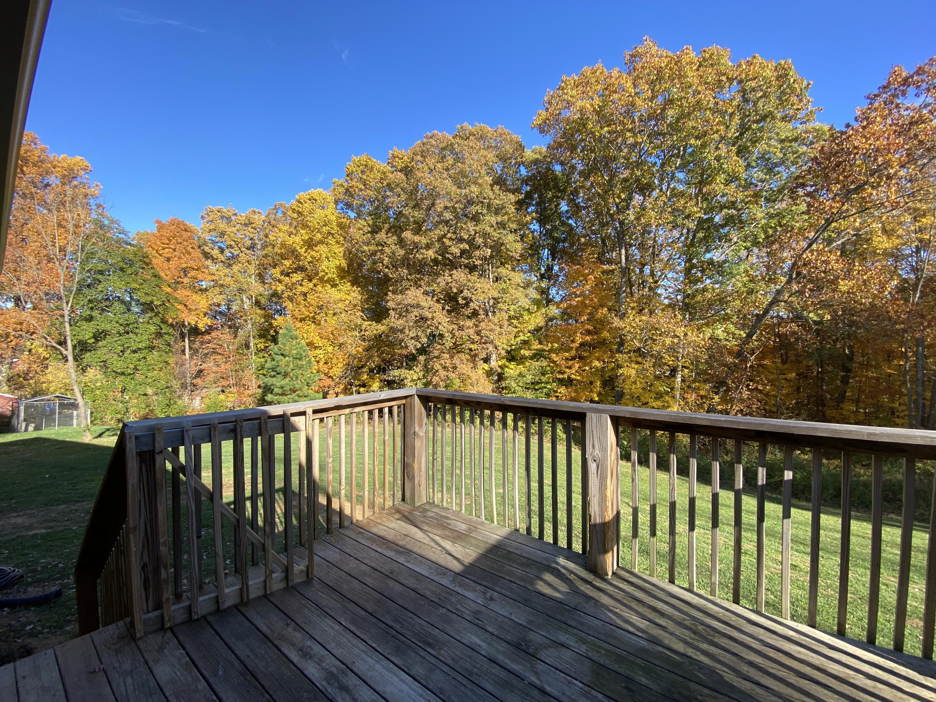 609 Matson Road Jonesborough, TN 37659 - Photo 20 of 29 22 - View from Deck 1