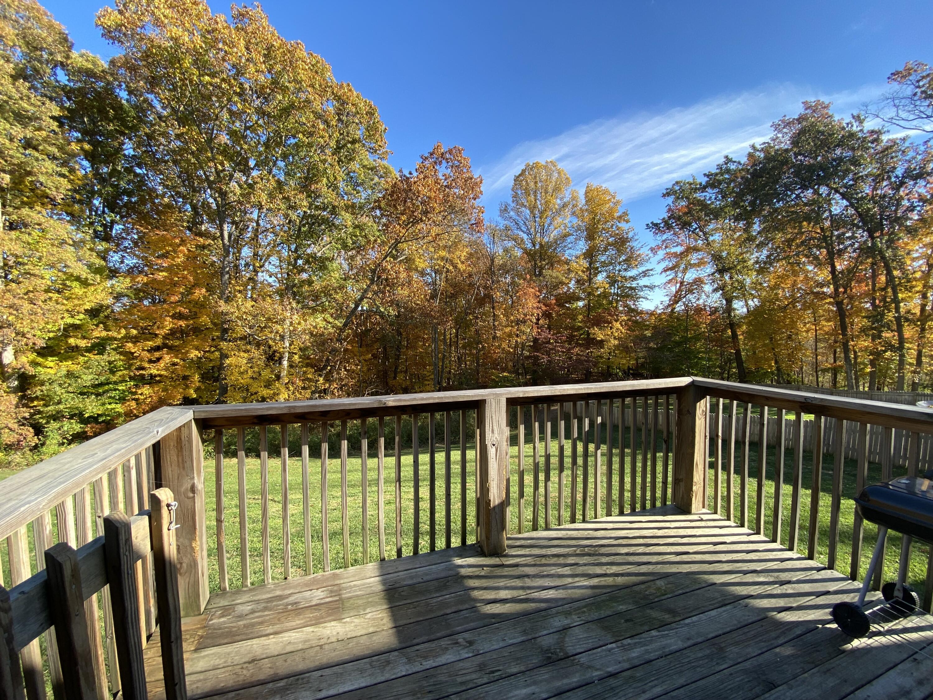 609 Matson Road Jonesborough, TN 37659 - Photo 21 of 29 23 - View from Deck 2