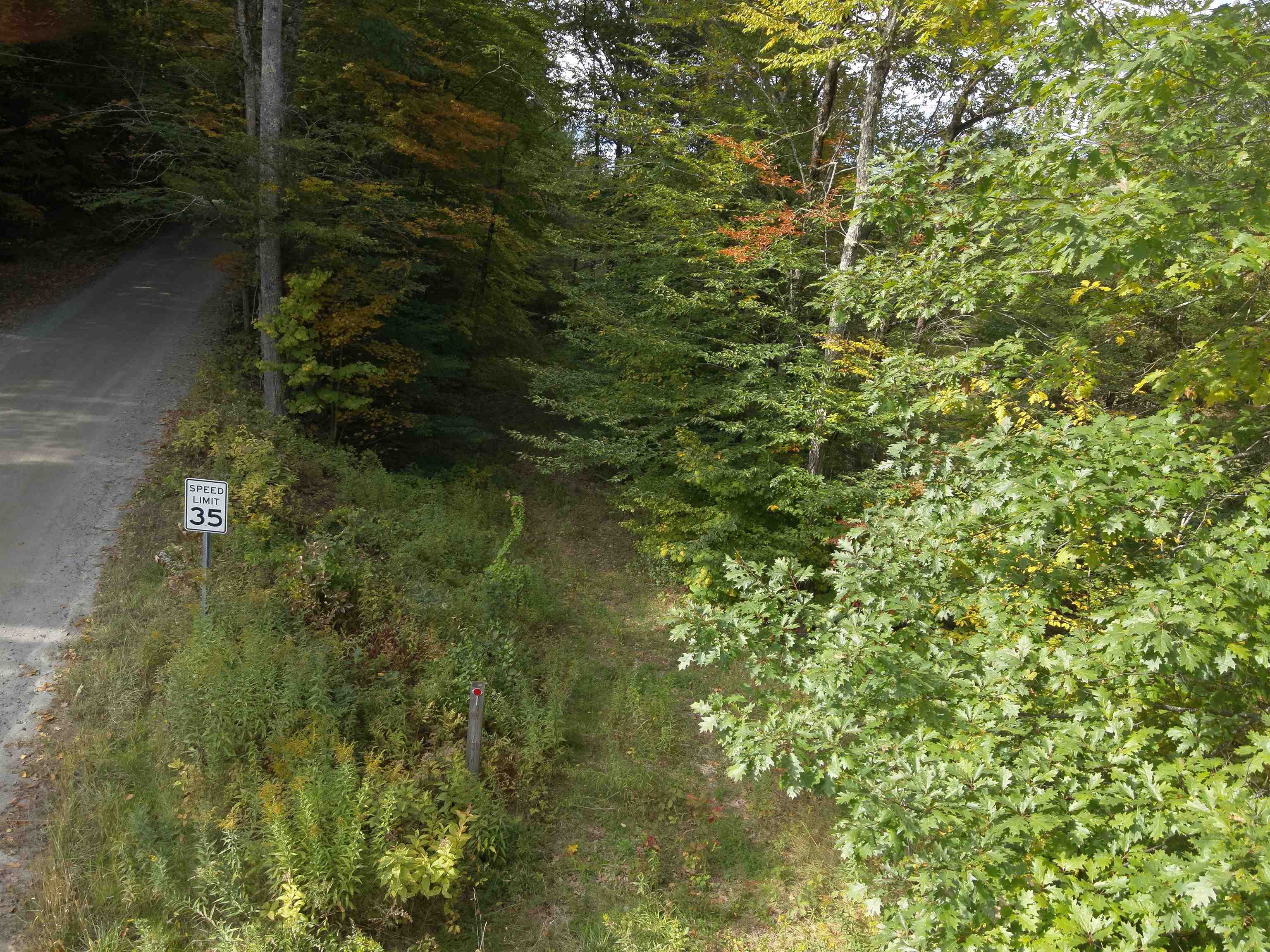 1297 River Road Jamaica, VT 05343 - Photo 8 of 22