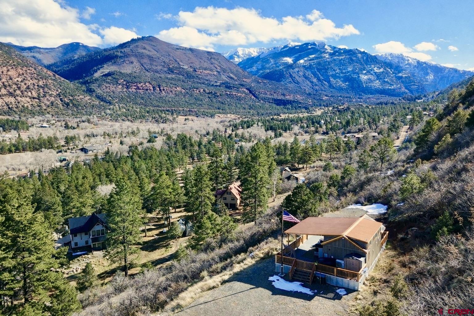 a view of a backyard with plants and a mountain