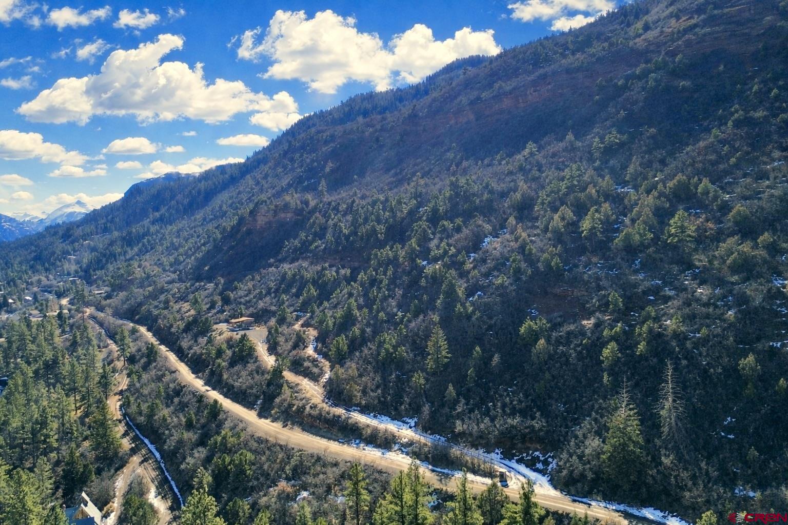 4115 County Road 17 Ridgway, CO 81432 - Photo 19 of 21 a view of a tree in a field