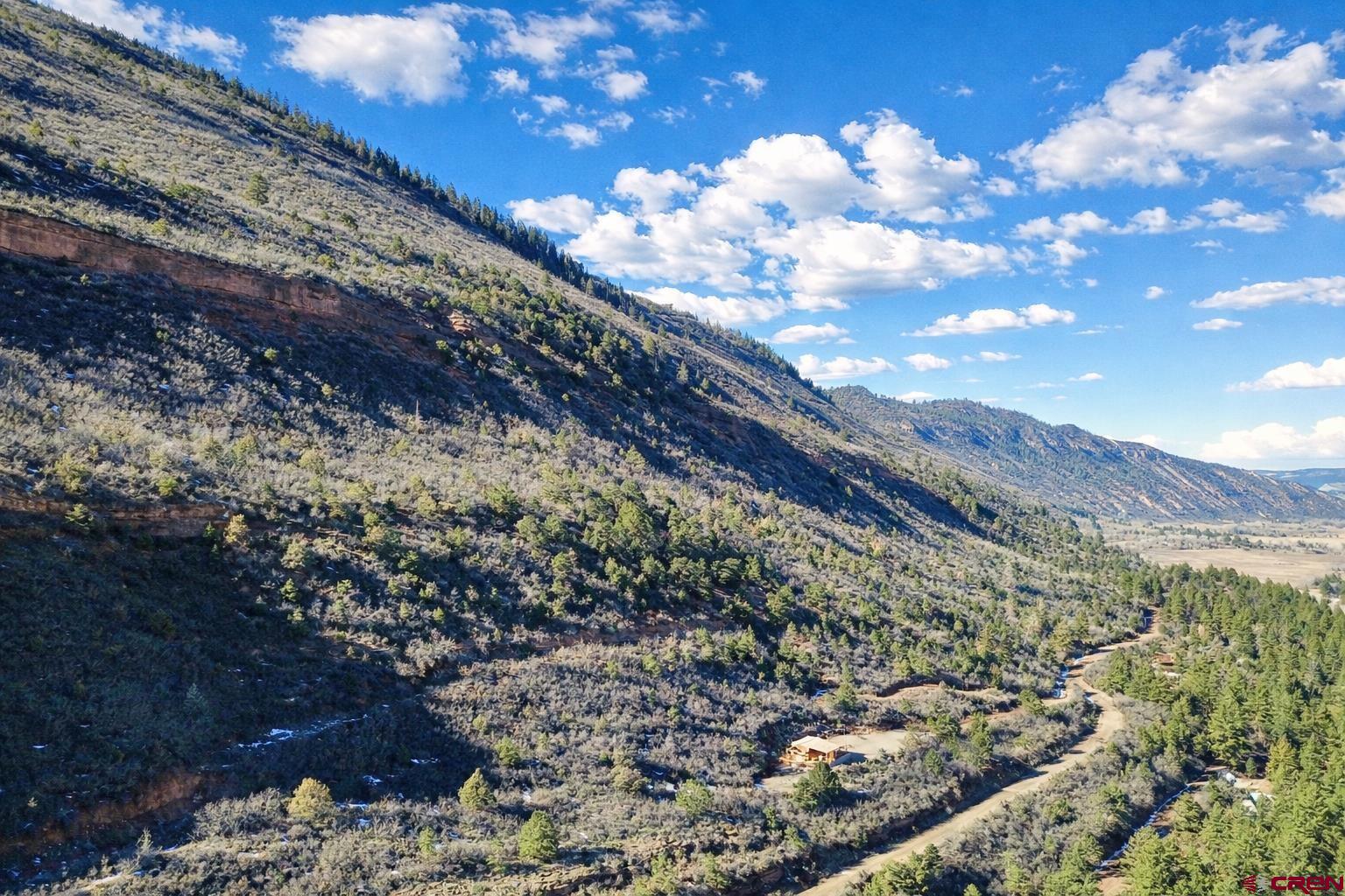 4115 County Road 17 Ridgway, CO 81432 - Photo 20 of 21 a view of a forest with a tree
